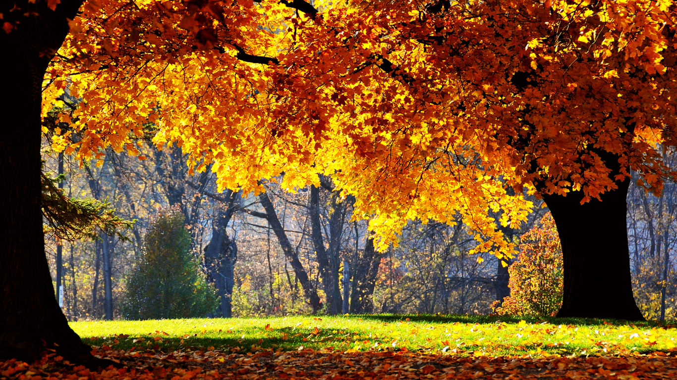 Screenshot №1 pro téma Golden Autumn 1366x768