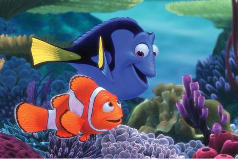 Das Finding Nemo Cartoon Wallpaper 480x320