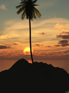 Palm Island screenshot #1 240x320