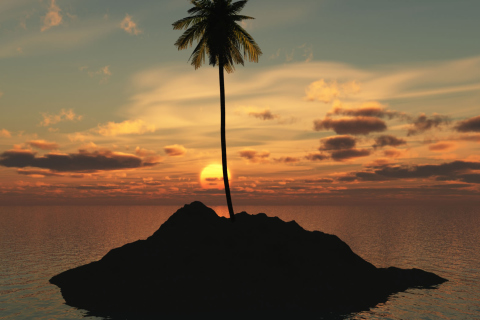 Sfondi Palm Island 480x320