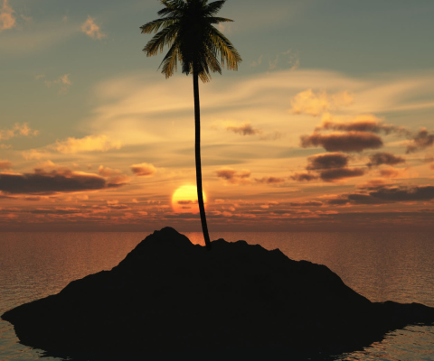 Das Palm Island Wallpaper 480x400