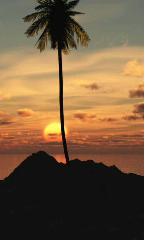 Palm Island screenshot #1 480x800