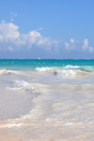 Sfondi Dominican Republic Crystal Clear Waters 320x480