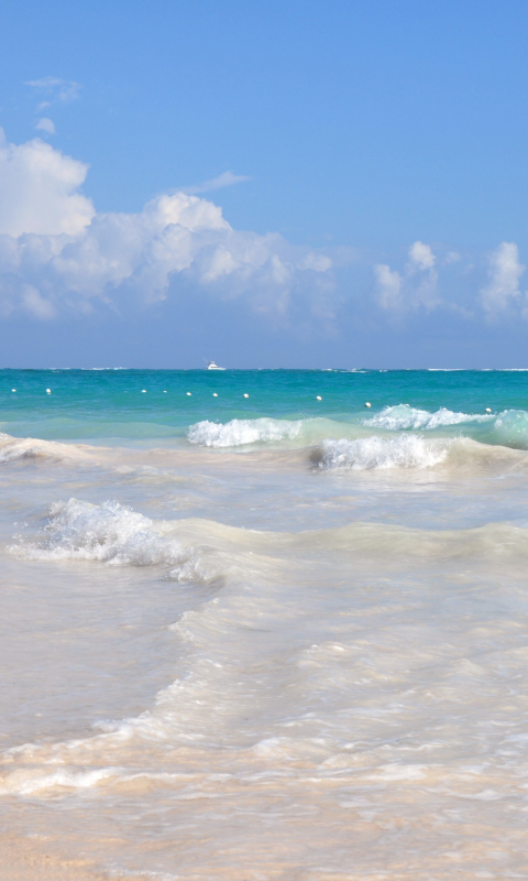 Dominican Republic Crystal Clear Waters wallpaper 480x800