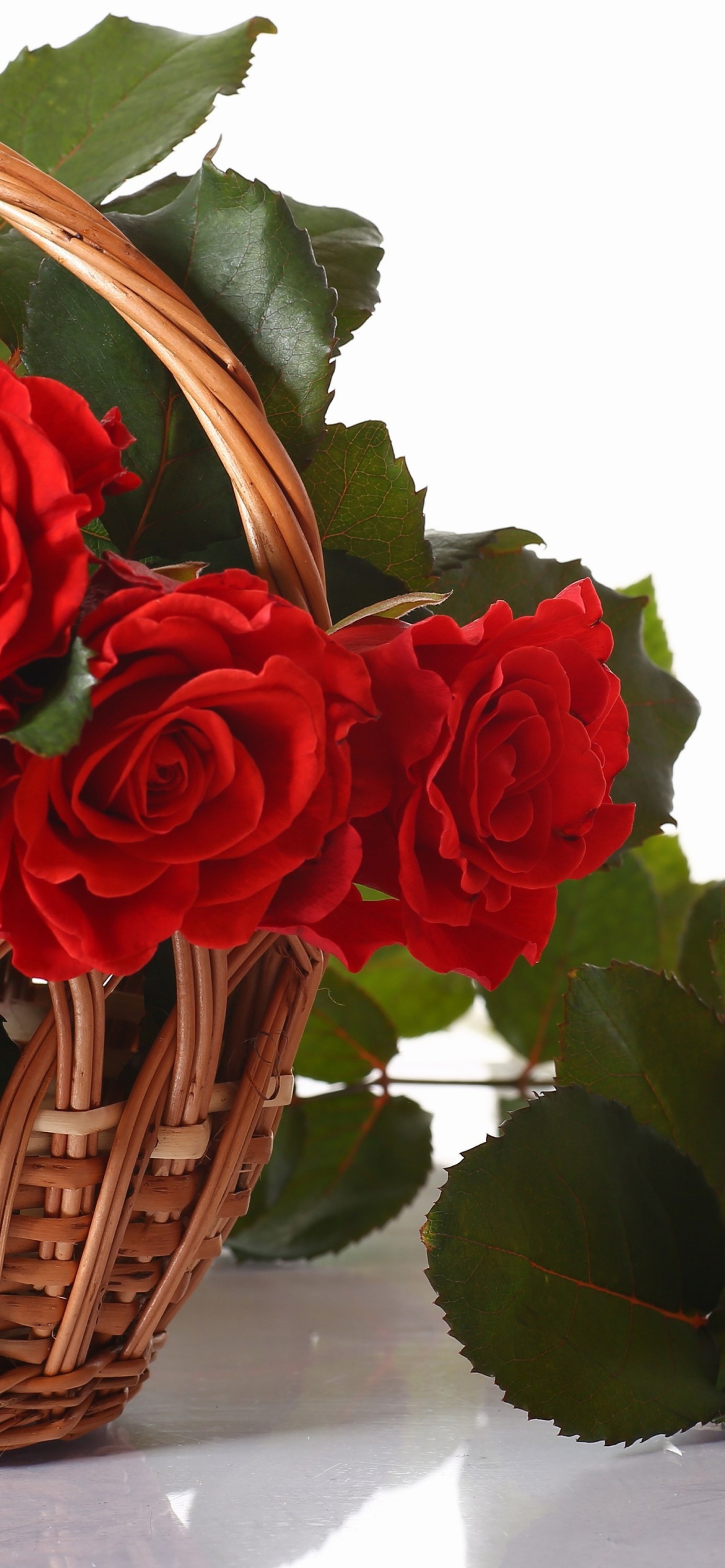 Basket with Roses wallpaper 1170x2532