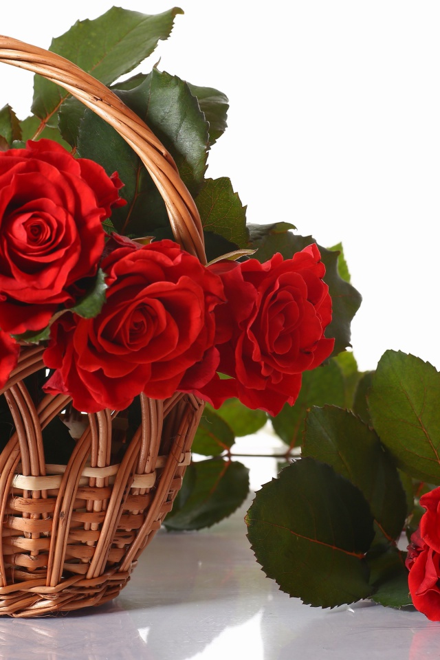 Das Basket with Roses Wallpaper 640x960