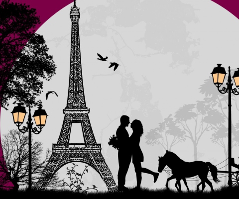 Paris City Of Love wallpaper 480x400