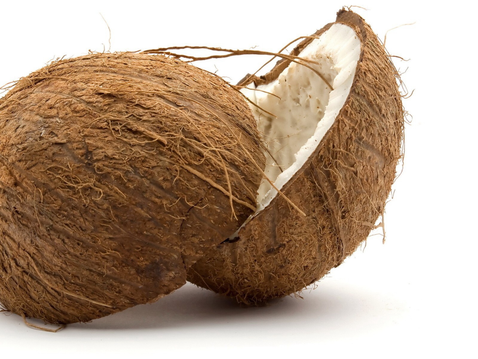 Fresh Coconut screenshot #1 1600x1200