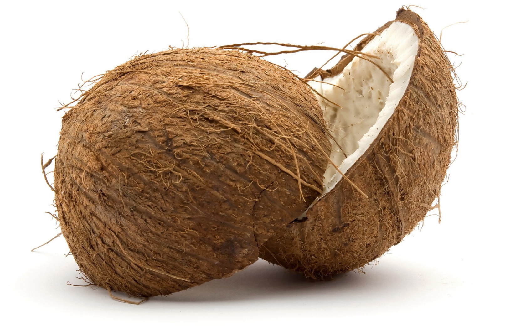 Fresh Coconut screenshot #1 1680x1050