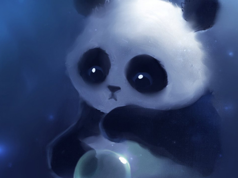 Fondo de pantalla Cute Panda Bear 800x600
