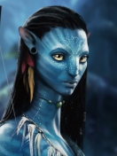 Screenshot №1 pro téma Avatar 132x176
