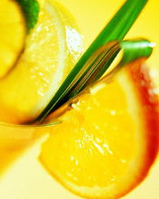 Sfondi Cocktail with Orange Slice 176x220