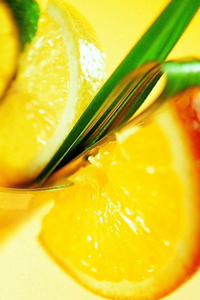 Das Cocktail with Orange Slice Wallpaper 640x960
