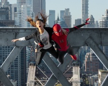 Sfondi Spider Man No Way Home 220x176