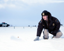 Fondo de pantalla Allison Tolman in Fargo 220x176