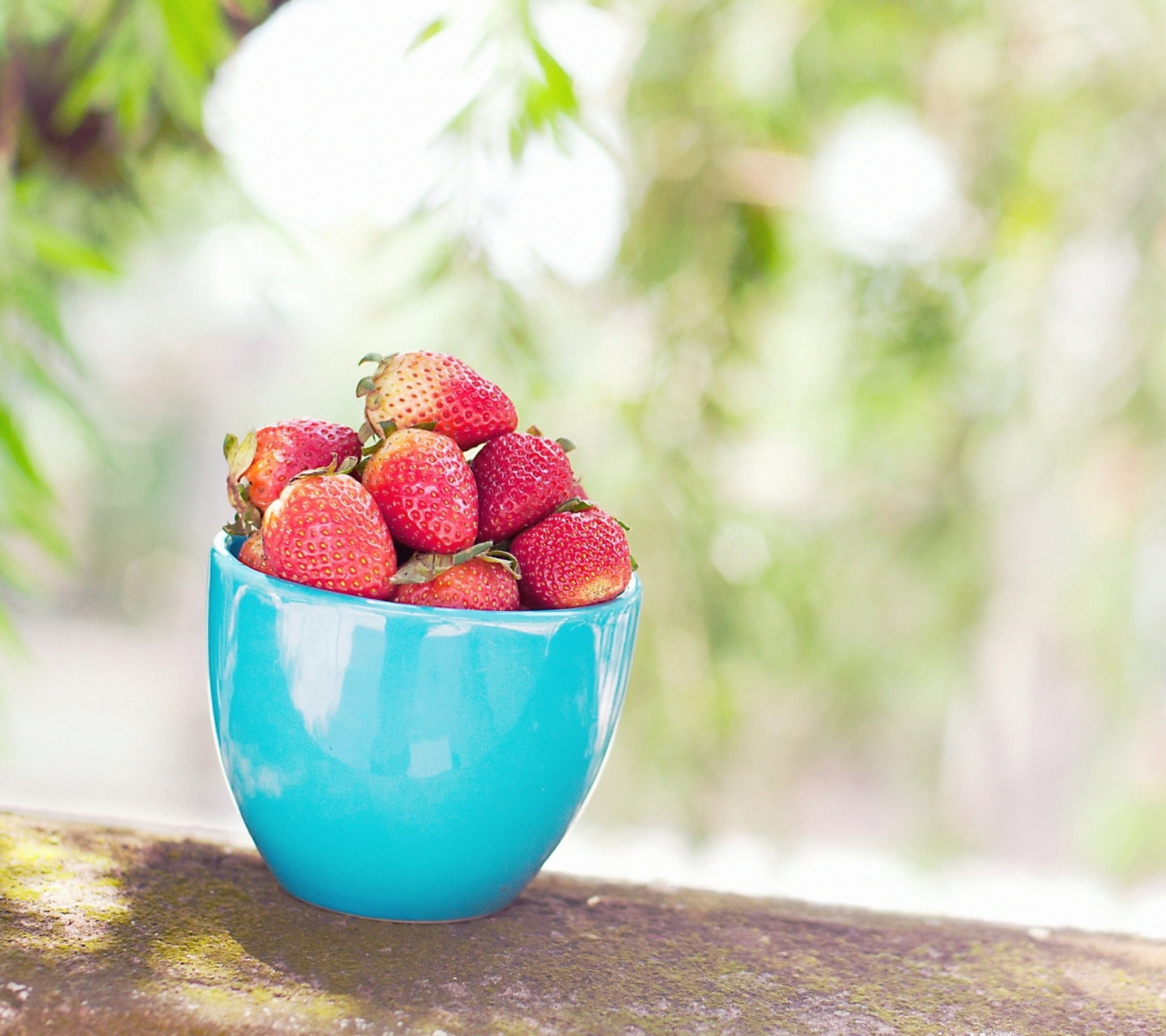 Fondo de pantalla Strawberries In Blue Cup 1440x1280