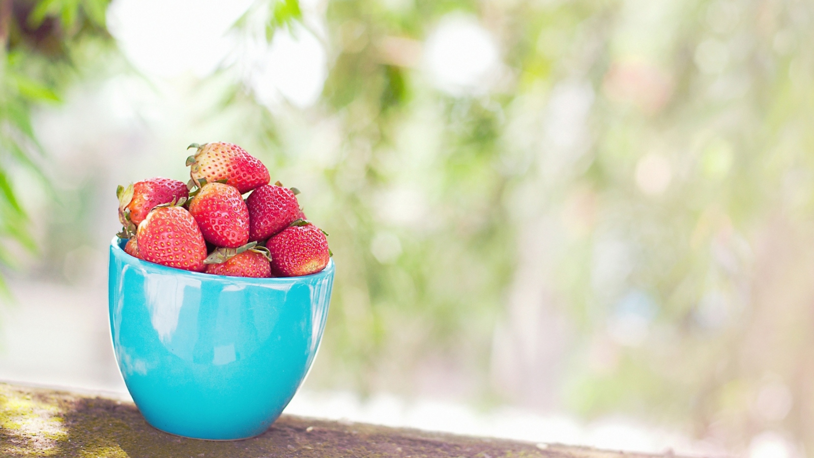 Strawberries In Blue Cup wallpaper 1600x900