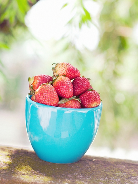 Strawberries In Blue Cup wallpaper 480x640