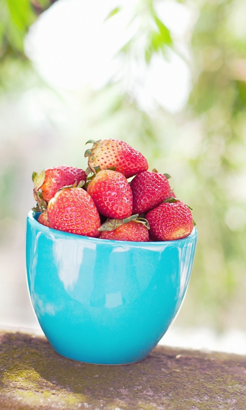 Strawberries In Blue Cup wallpaper 480x800