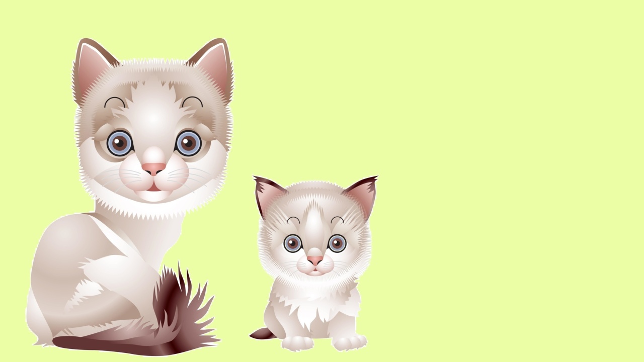 Das Hipster Cat Clip Art Wallpaper 1280x720