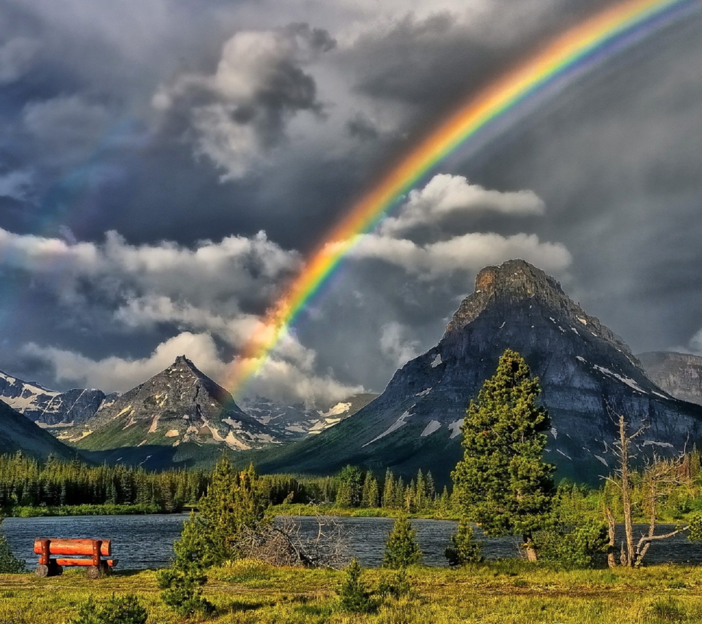 Rainbow In Sky wallpaper 1440x1280