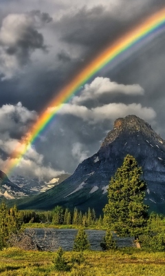 Rainbow In Sky wallpaper 240x400