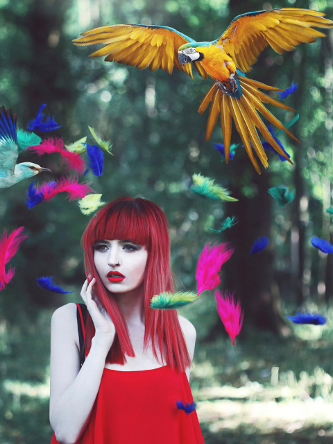 Girl, Birds And Feathers wallpaper 480x640