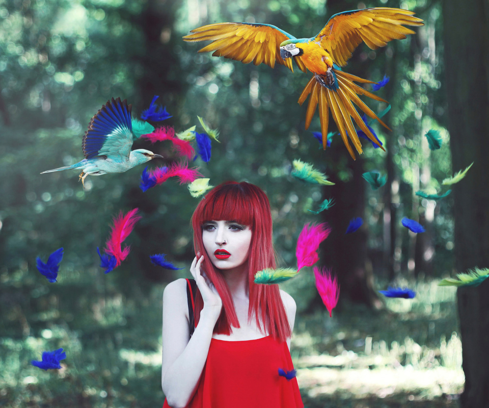 Das Girl, Birds And Feathers Wallpaper 960x800