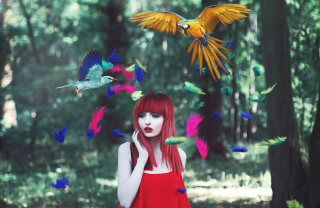 Girl, Birds And Feathers - Obrázkek zdarma pro 1366x768