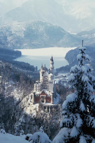 Sfondi Neuschwanstein Castle in Bavaria Germany 320x480