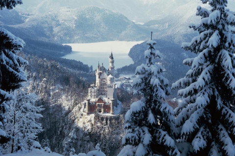 Screenshot №1 pro téma Neuschwanstein Castle in Bavaria Germany 480x320