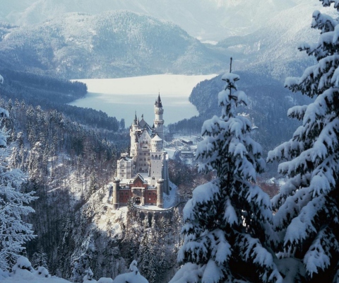 Screenshot №1 pro téma Neuschwanstein Castle in Bavaria Germany 480x400