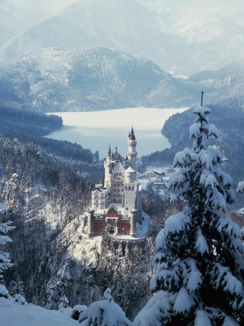 Neuschwanstein Castle in Bavaria Germany screenshot #1 480x640