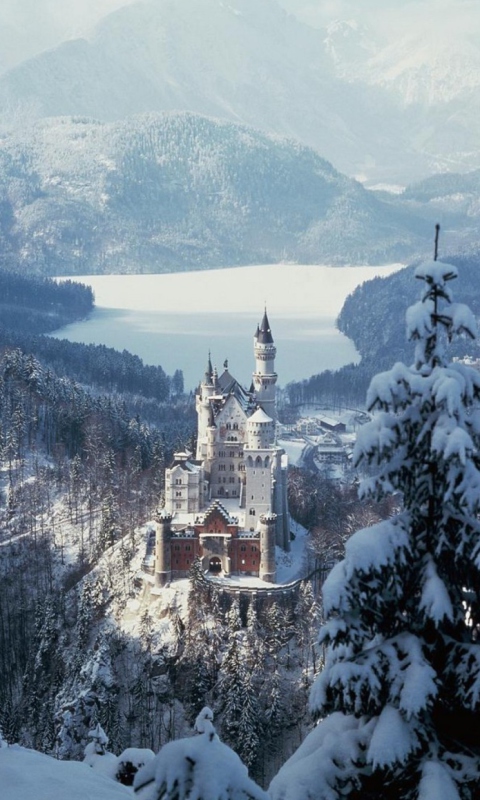 Neuschwanstein Castle in Bavaria Germany screenshot #1 480x800