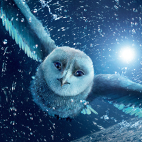 Legend Of The Guardians The Owls Of Ga Hoole wallpaper 208x208