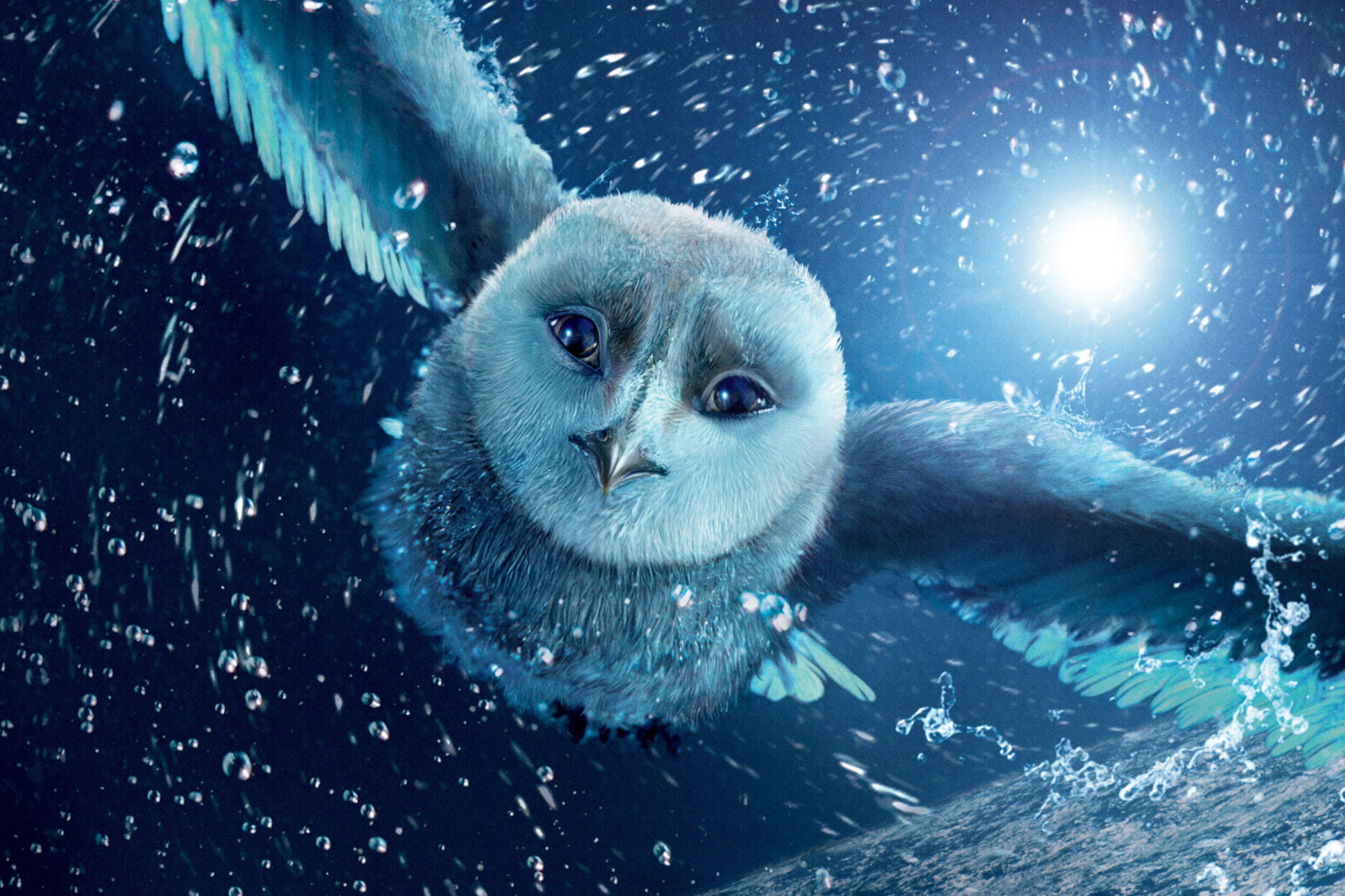 Legend Of The Guardians The Owls Of Ga Hoole wallpaper 2880x1920