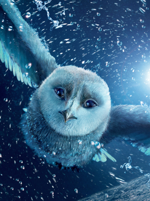 Legend Of The Guardians The Owls Of Ga Hoole wallpaper 480x640