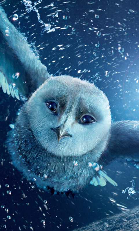 Fondo de pantalla Legend Of The Guardians The Owls Of Ga Hoole 480x800