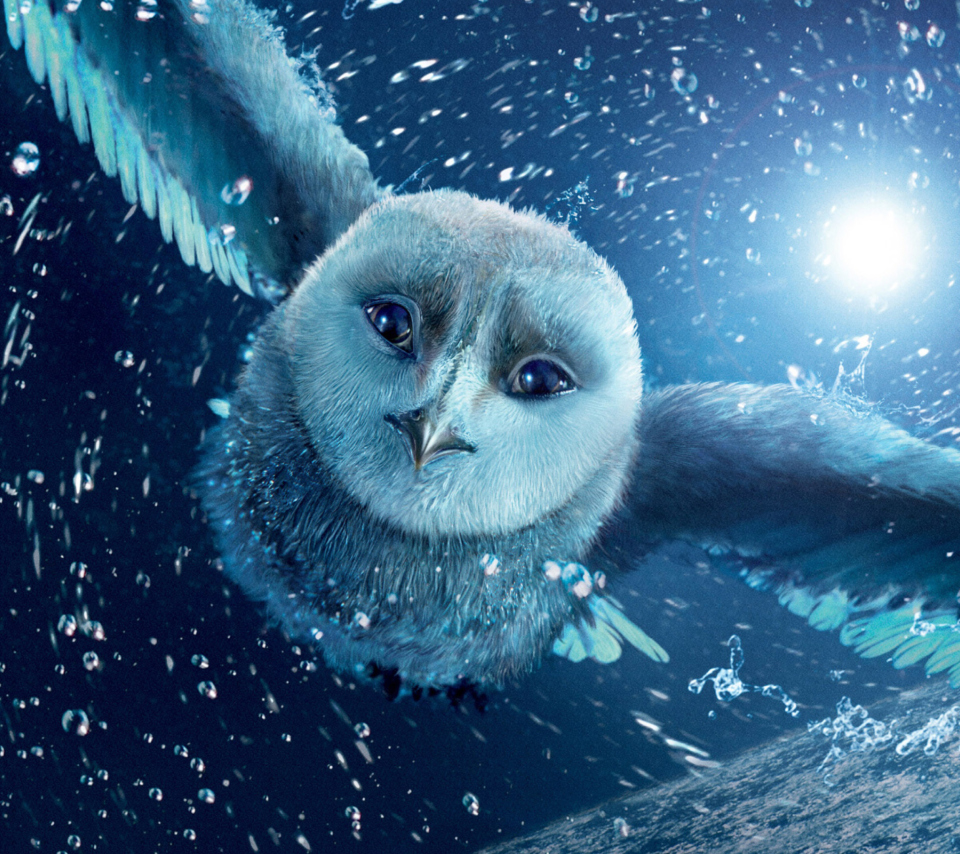 Legend Of The Guardians The Owls Of Ga Hoole wallpaper 960x854