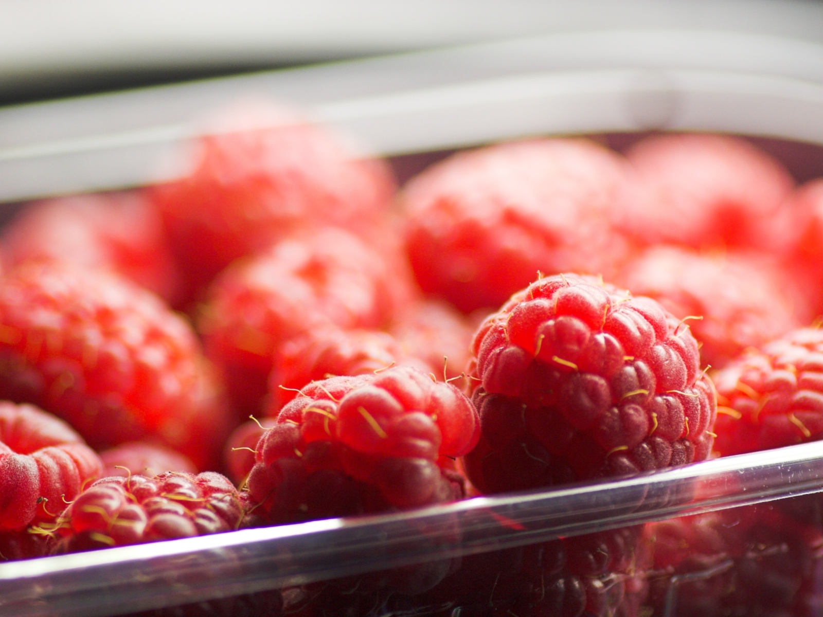 Обои Tasty Raspberry 1600x1200