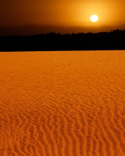 Sand Dunes wallpaper 176x220