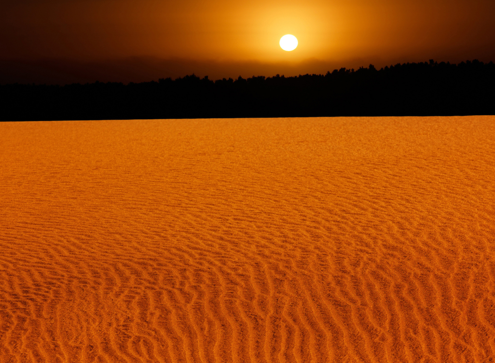 Обои Sand Dunes 1920x1408