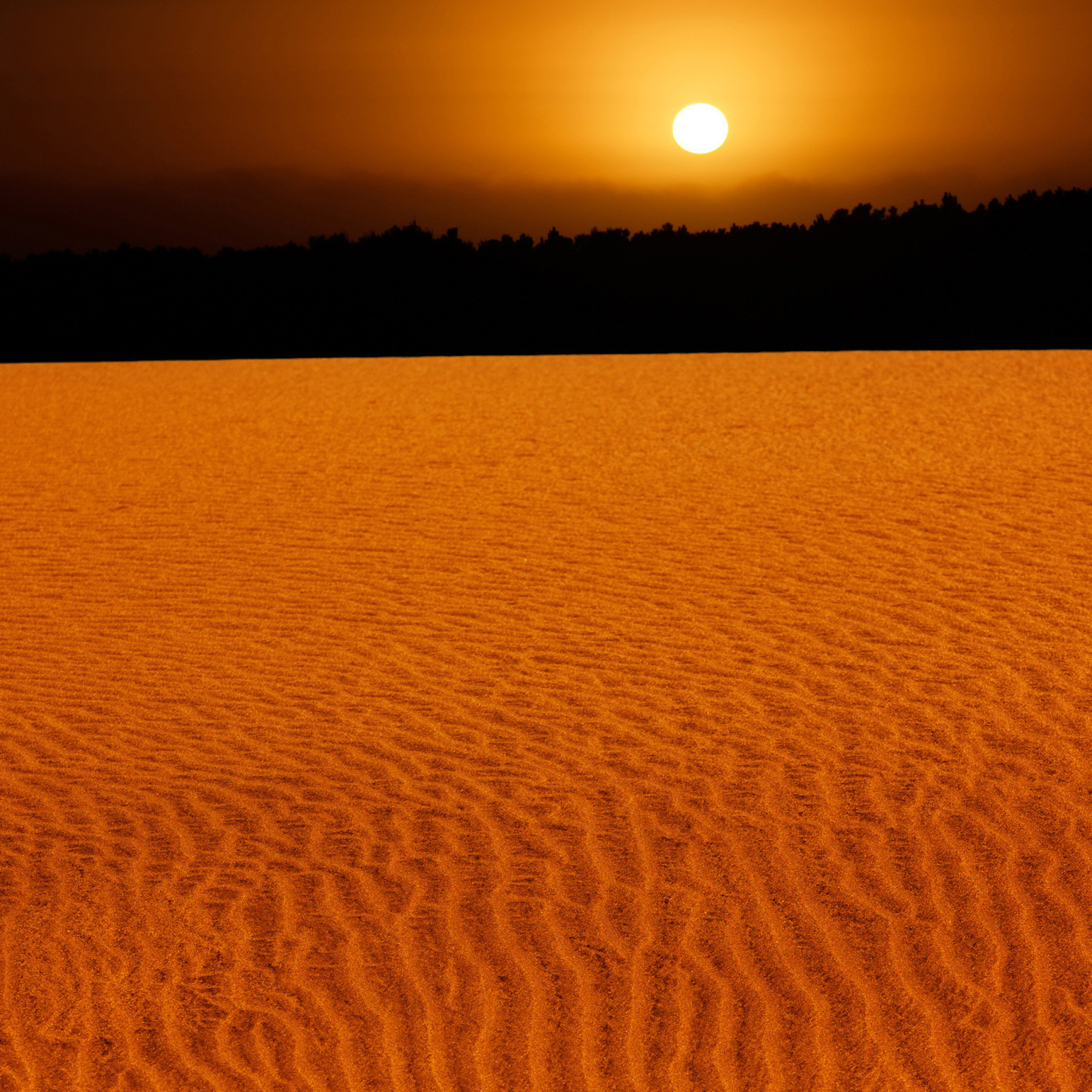 Fondo de pantalla Sand Dunes 2048x2048