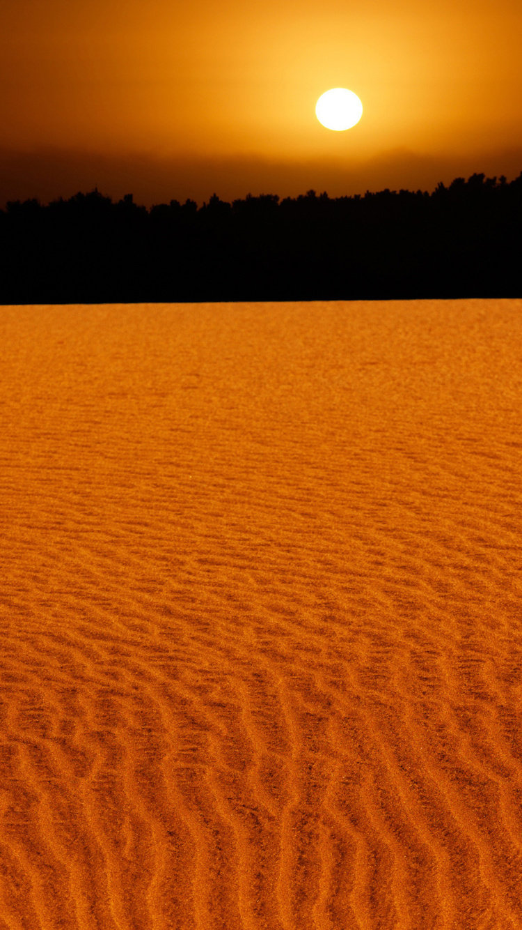 Sand Dunes wallpaper 750x1334