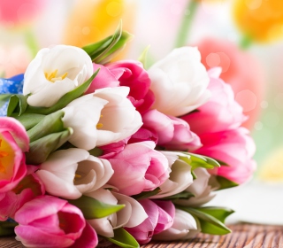 Spring Tulips sfondi gratuiti per Nokia 6230i