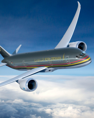 Royal Jordanian Airlines sfondi gratuiti per iPhone 4S