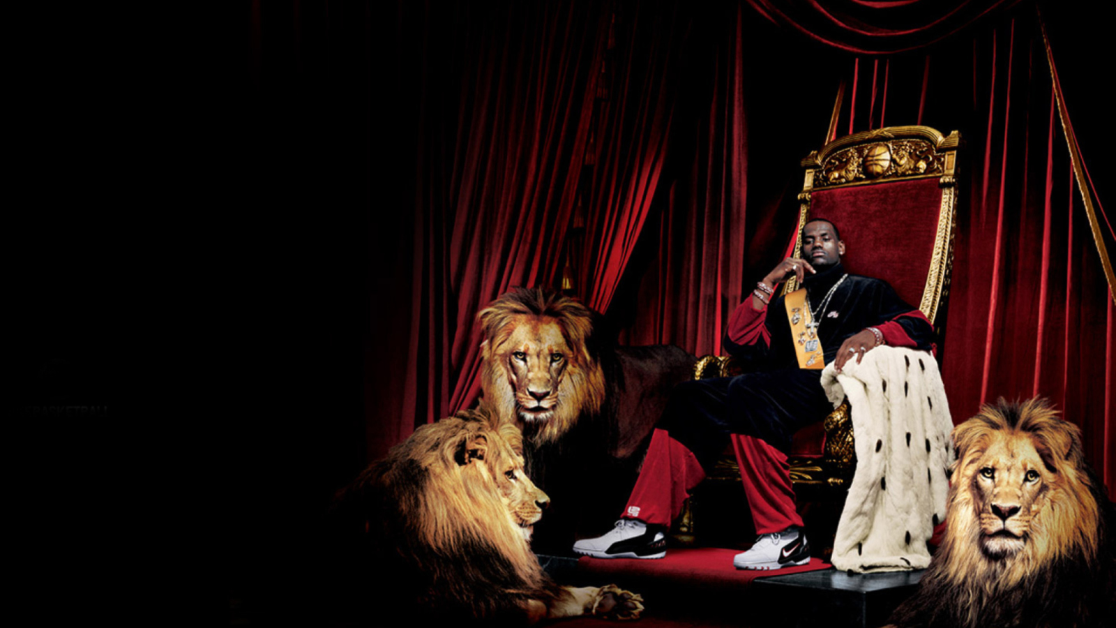 Lebron James With Lions wallpaper 1600x900