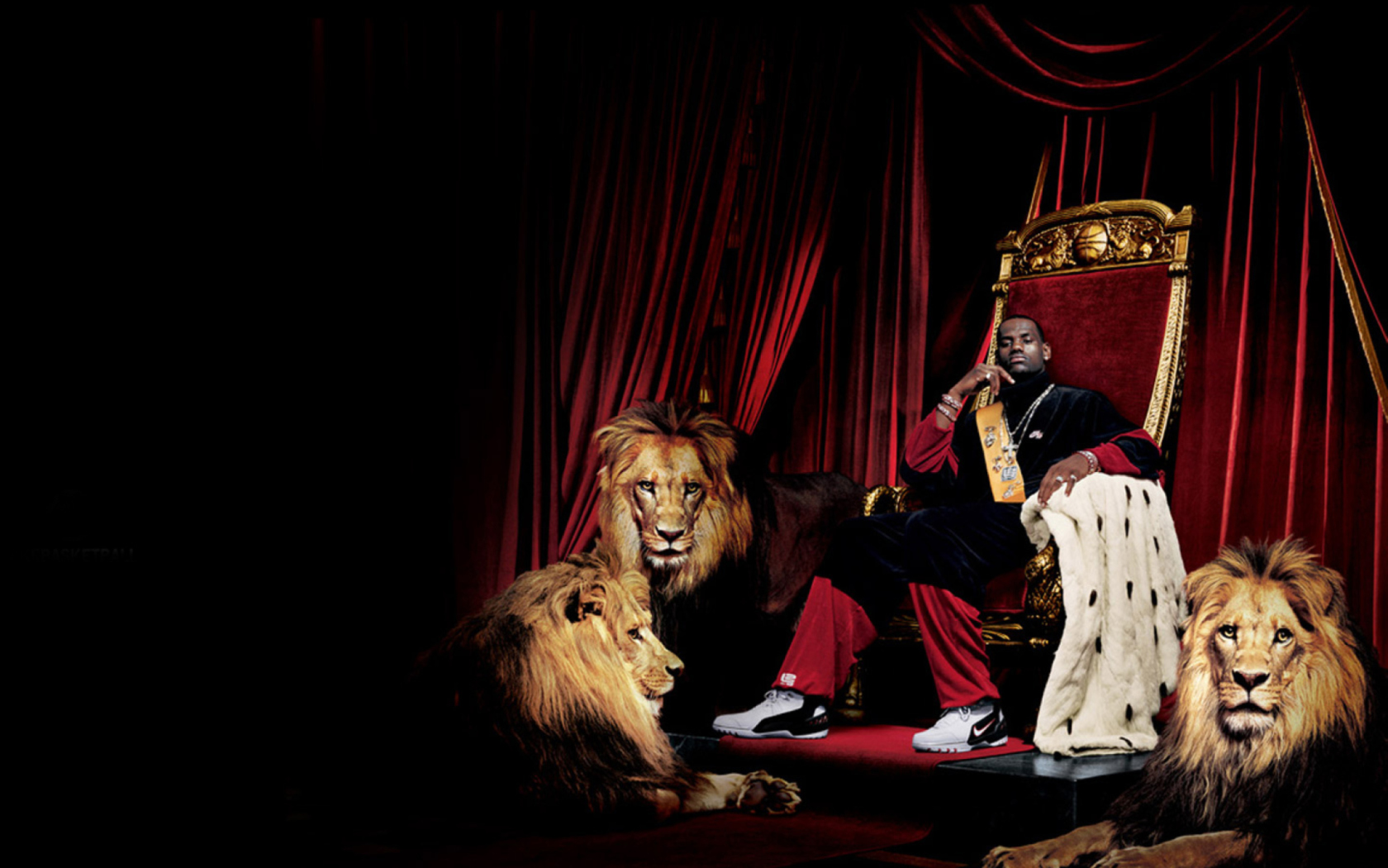 Lebron James With Lions wallpaper 1680x1050