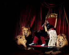 Lebron James With Lions wallpaper 220x176