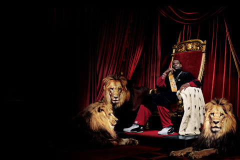 Lebron James With Lions wallpaper 480x320